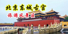 欧美嗯啊嗯啊中国北京-东城古宫旅游风景区